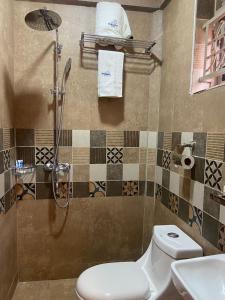 a bathroom with a shower and a toilet and a sink at Nataaha Hotels in Mbarara