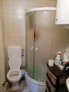 a bathroom with a toilet and a glass shower at Seosko domaćinstvo Gojnić - Donji Brčeli in Virpazar