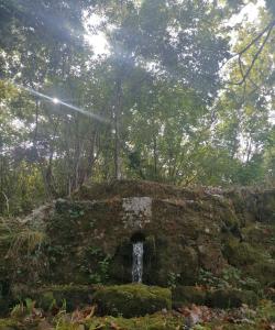 an old stone building with a waterfall in a forest at Seosko domaćinstvo Gojnić - Donji Brčeli in Virpazar