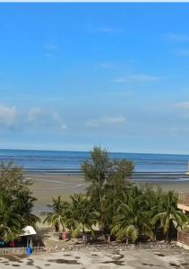バンティングにあるSea view apartment Gold Coast Moribのヤシの木と海のあるビーチの景色