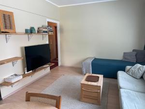 En TV eller et underholdningssystem på Travel Center Apartment