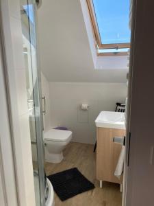 a bathroom with a toilet and a sink with a skylight at Przy Poznańskiej Bramie in Inowrocław