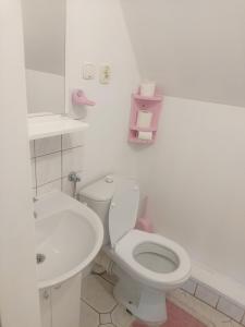 Łazienka z białą toaletą i umywalką w obiekcie Pensjonacik Albatros w mieście Mikołajki