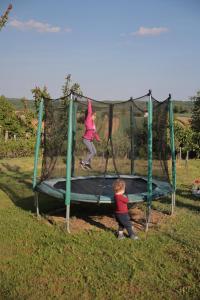 dos niños jugando en un trampolín en un campo en Apartment Amigo en Sirova Katalena