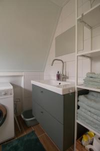 uma casa de banho com um lavatório e uma máquina de lavar roupa em Hermans huisje: het mooiste uitzicht van Twente? em Haaksbergen