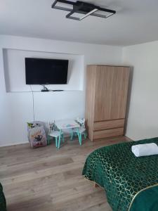 una camera con letto e TV a schermo piatto di Noclegi na Parkowej blisko Zator Energylandia a Ryczów