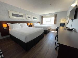 Rodd Moncton, Moncton (updated prices 2025)