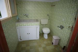 a bathroom with a toilet and a sink with green wallpaper at Eugenia villa in Lindos +2 photos