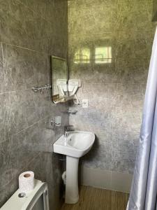 un bagno con lavandino e specchio di Dato Khetaguri Apartment a Kazbegi