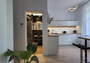 a kitchen with white cabinets and a counter top at Good Day Apartment 2 centrum Katowice in Katowice