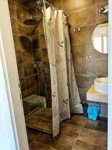 La salle de bains est pourvue d'une douche et d'un lavabo. dans l'établissement Apartment Dimeski, à Ohrid