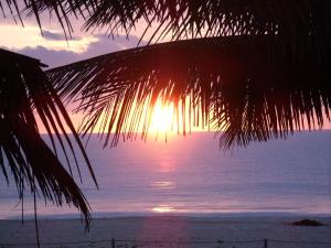 um pôr do sol na praia com uma palmeira em Vila Axé Flat 05 Riviera em Prado
