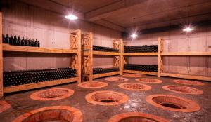 Fotografie z fotogalerie ubytování Giuaani Winery v destinaci Manavi