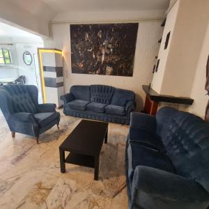 uma sala de estar com dois sofás azuis e uma mesa em Marmara villa em Egira
