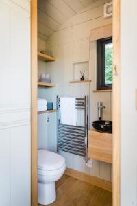 a small bathroom with a toilet and a sink at Boutique Cornish Shepherd's Hut with Hot Tub in Launceston