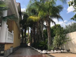 Kép Villa Holiday szállásáról Castellón de la Planában a galériában