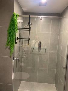 een douche met een glazen deur in de badkamer bij Plush at Dawn, Canberra city in Canberra