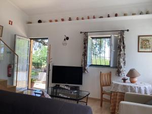 TV a/nebo společenská místnost v ubytování Quinta da Horta Nova