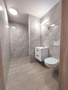 uma casa de banho com um WC, um lavatório e um espelho. em Apartamenty Baltic16 em Ustka