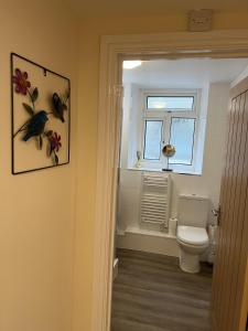 a bathroom with a toilet and a window at Ground Floor 1 Bedroom Apt With Parking, Edge of Glastonbury and Street in Street