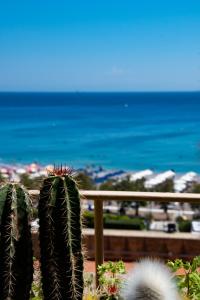 einen Kaktus mit dem Strand im Hintergrund in der Unterkunft Grande Albergo Delle Rose in Rhodos (Stadt)