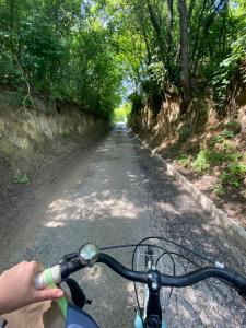 Jazda na bicykli v okolí ubytovania Töreki 34 Vendégház