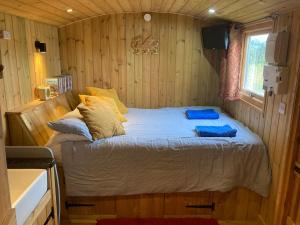 Gallery image of The Shepherd's Hut with swimming pool in Wrexham