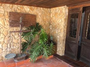 a stone wall with two plants next to a door at Vinha da Quinta in Sintra
