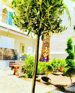 una palmera y un banco en un patio en Phoenix Garden Apartments II, en Atenas