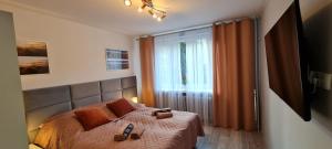 una camera con letto e finestra di Apartament Panorama 6 20 a Polańczyk