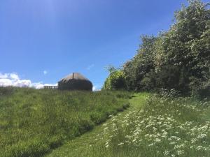 a field of grass with a large dome in the background at Portsalon Luxury Camping in Portsalon