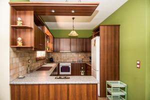 a large kitchen with wooden cabinets and green walls at VILLA IRIDA in Kefallonia