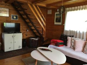 TV a/nebo společenská místnost v ubytování Chalet Slap Na Kupi