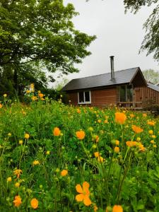 Das Gebäude in dem sich der Campingplatz befindet