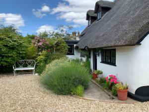 uma casa branca com um banco no quintal em The Cottage Studio em Wool