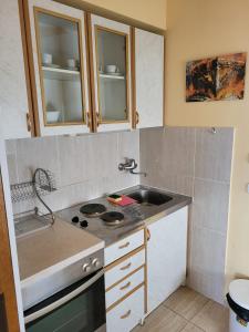 Kuchyň nebo kuchyňský kout v ubytování Apartman Ivan + 34 fotografií