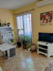 a living room with potted plants and a flat screen tv at Canuta de Ifach 3H in La Canuta