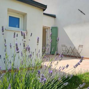 a garden with purple flowers in front of a house at La Casa Vecchia Bed&Breakfast in Caniparola di Fosdinovo