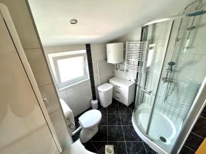 a bathroom with a shower and a toilet and a sink at Barbariga apartments in Vodnjan