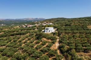 una vista aerea di una casa su una collina con alberi di OLIVE BREEZE a Kíssamos