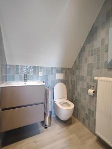 La salle de bains est pourvue de toilettes et d'un lavabo. dans l'établissement Nachtegael Zomerhuis, idyllische woning in de Vlaamse Ardennen, à Kluisbergen