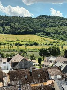 an aerial view of a village with a field and trees at Buergerhaus Zeltingen Fewo in Zeltingen-Rachtig