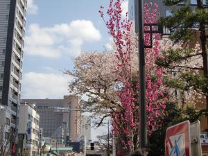 Fotografie z fotogalerie ubytování Nishitetsu Inn Nihonbashi v Tokiu