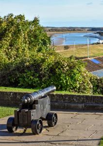 a statue of a cannon in front of a body of water at Park View in Winchelsea