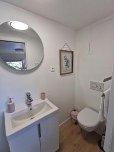 a bathroom with a sink and a toilet and a mirror at La petite Halte - Les Maisons de Madeleine in Bouguenais