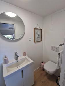 bagno con lavandino, servizi igienici e specchio di La petite Halte - Les Maisons de Madeleine a Bouguenais