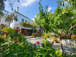 a garden in front of a house with flowers at Omikron in Mikro