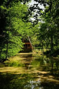 eine Hütte inmitten eines Flusses mit Bäumen in der Unterkunft Chateau Kiramala in Lagodechi