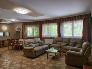 sala de estar con sofá y mesa en Villa Riccardo & Pool, en Siófok