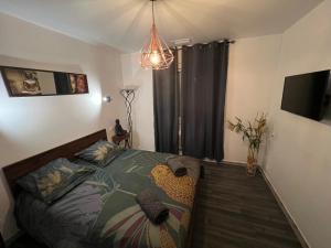 a bedroom with a bed and a chandelier at Mas avec piscine et jacuzzi sur Argeles sur Mer in Argelès-sur-Mer